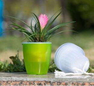 Automatic water-absorbing Flower Pots