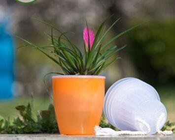 Automatic water-absorbing Flower Pots