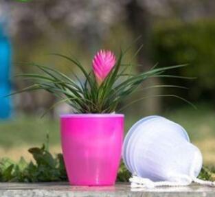 Automatic water-absorbing Flower Pots